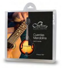 SET 8 CUERDAS P/MANDOLINA