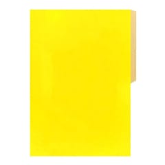 CARPETA DE CARTON HALLEY
