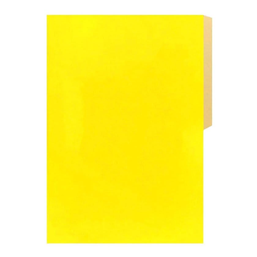 CARPETA DE CARTON HALLEY 0