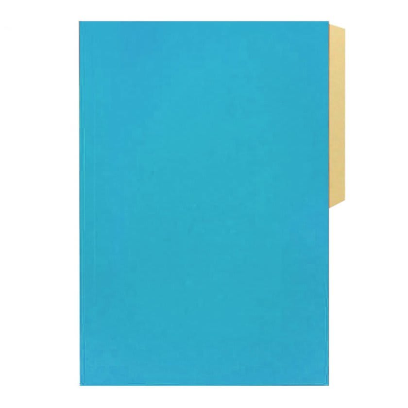 CARPETA DE CARTON HALLEY2