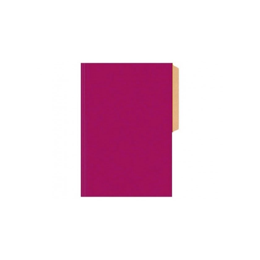 CARPETA DE CARTON HALLEY6