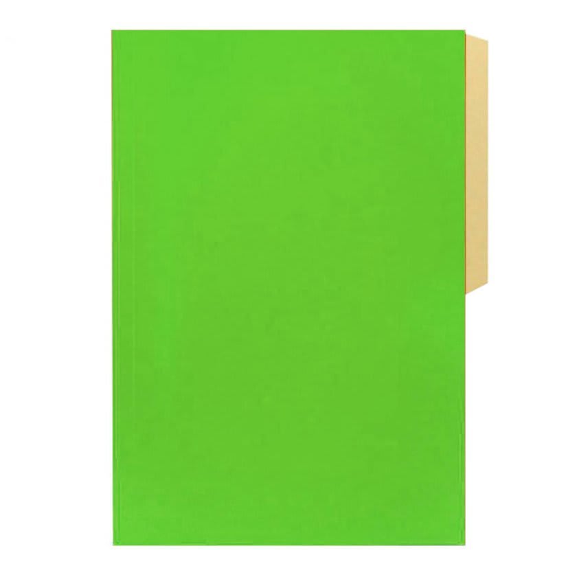 CARPETA DE CARTON HALLEY5