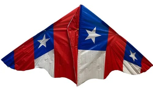 12 VOLANTIN COMETA PAJARO SURTIDO FIESTAS PATRIAS4