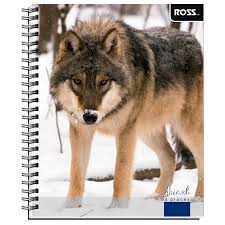 CUAD. UNIV. 7MM 100 HJS ANIMAL ROSS 29970-72