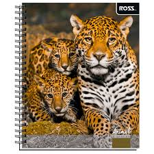 CUAD. UNIV. 7MM 100 HJS ANIMAL ROSS 29970-73