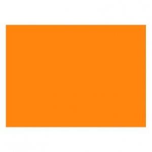 PAPEL VOLANTIN PLIEGO 50 X 70 CM FIENTAS PATRIAS5