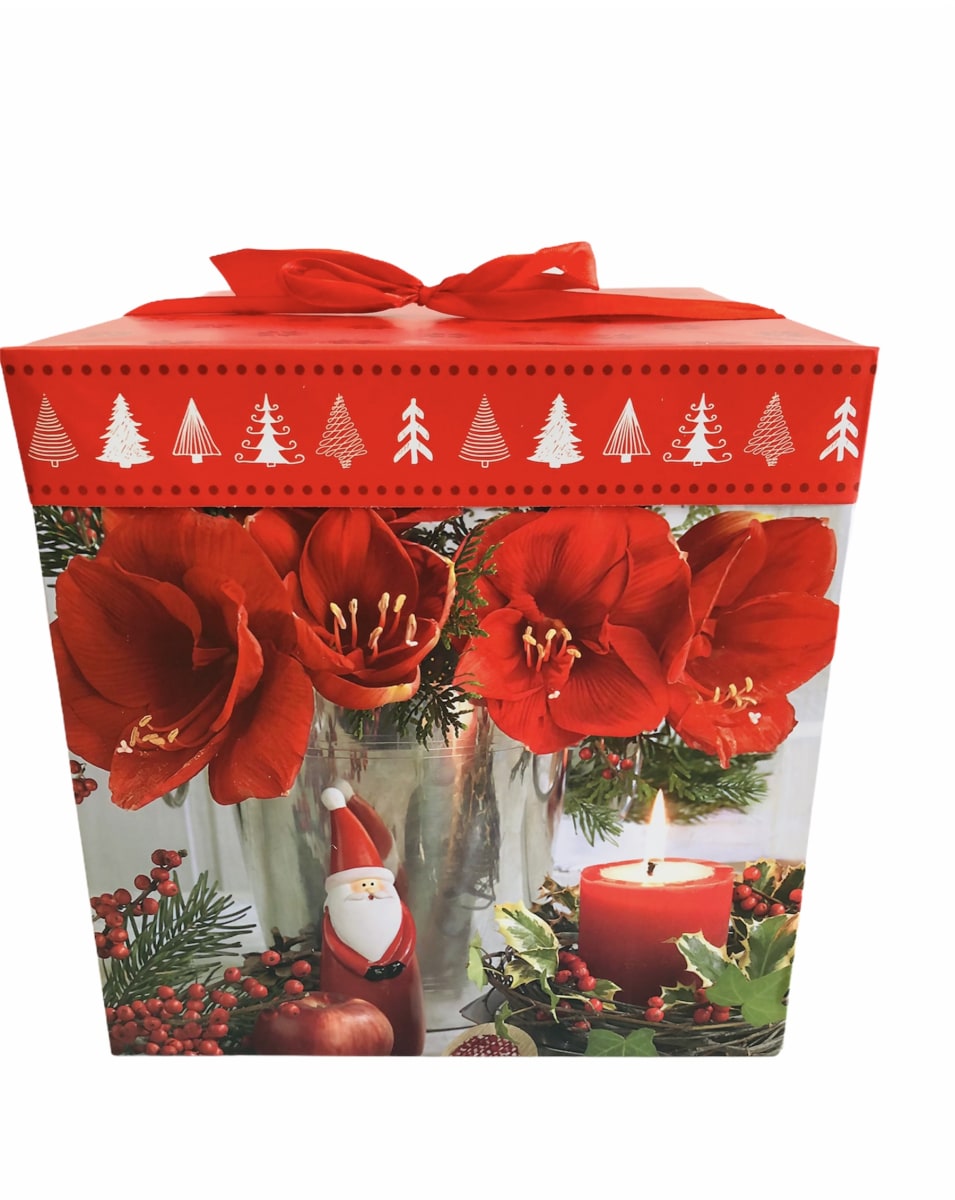 CAJAS PARA REGALO CON TAPA 22x22x22 CM F18361