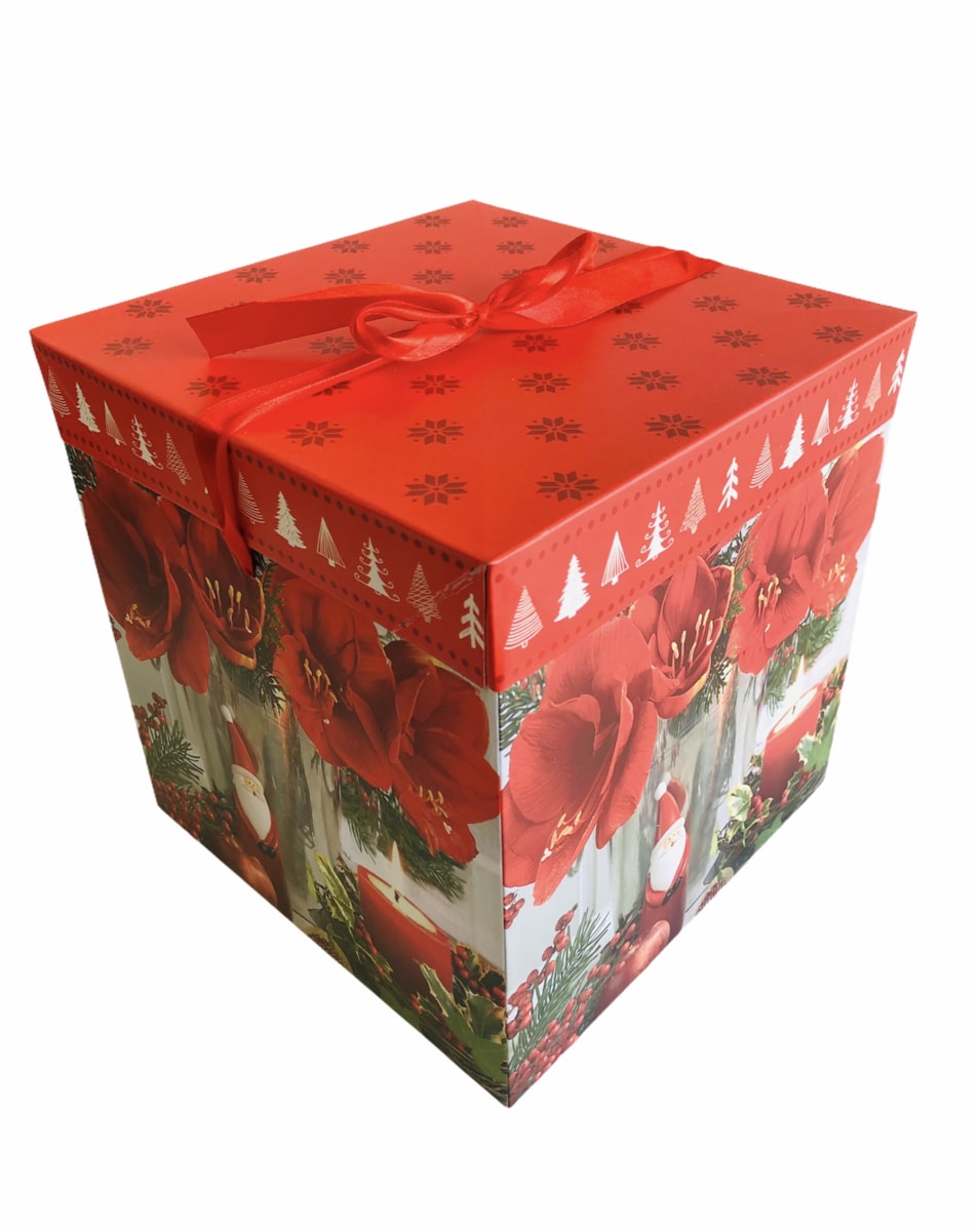 CAJAS PARA REGALO CON TAPA 22x22x22 CM F18362