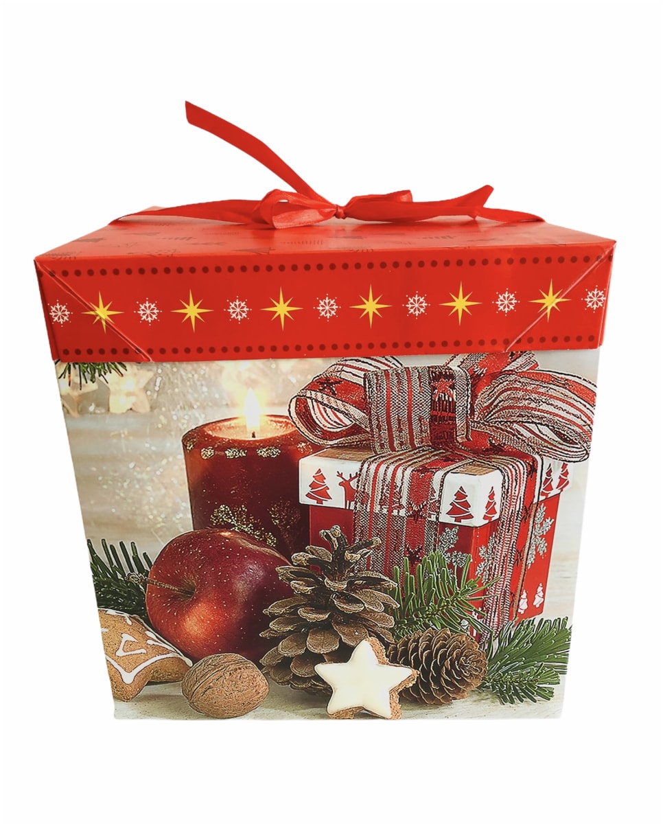 CAJAS PARA REGALO CON TAPA 22x22x22 CM F18365