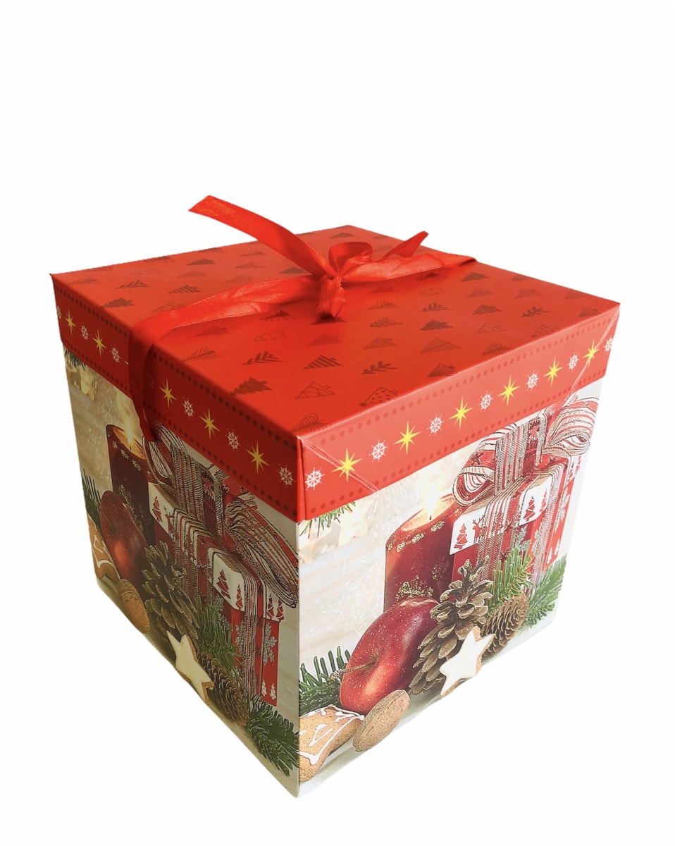 CAJAS PARA REGALO CON TAPA 22x22x22 CM F18366