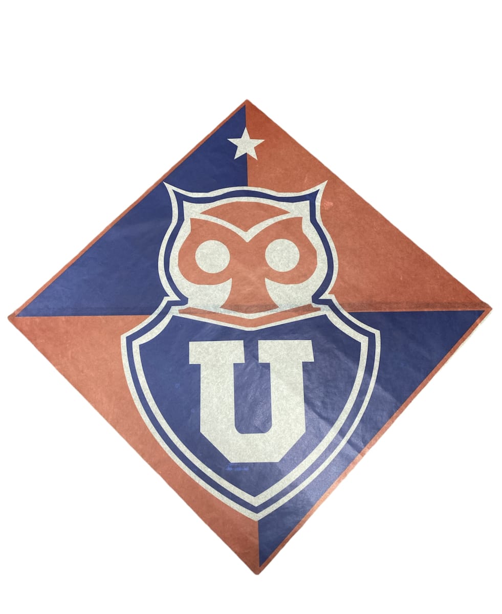 50 PAPELES VOLANTIN 50X50 ESTAMPADO SURTIDO FIESTAS PATRIAS5