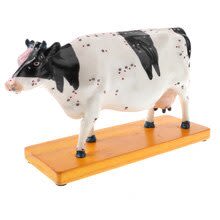 MAQUETA DE VACUNO 13X21 CMS PARA ESTUDIO2