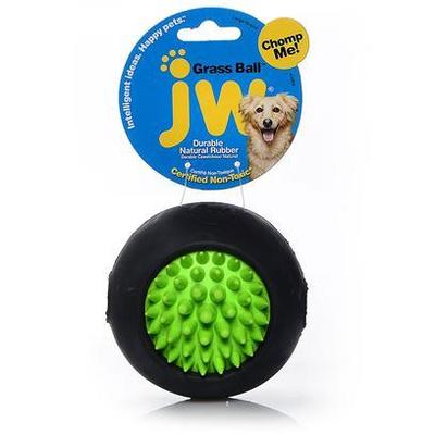 JW Pelota Pasto JW Pelota Pasto