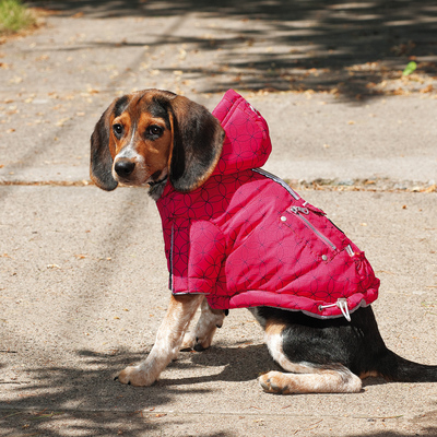 Silver Paw Parka con luz Gorro Rosada Silver Paw Parka con luz Gorro Rosada