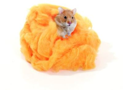 Karlie Nido de Hamster Karlie Nido de Hamster