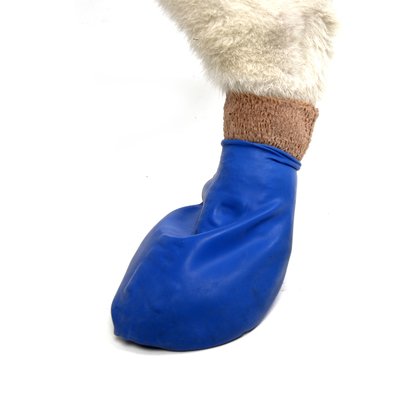 Pawz Zapatos Medium Azul Pawz Zapatos Medium Azul