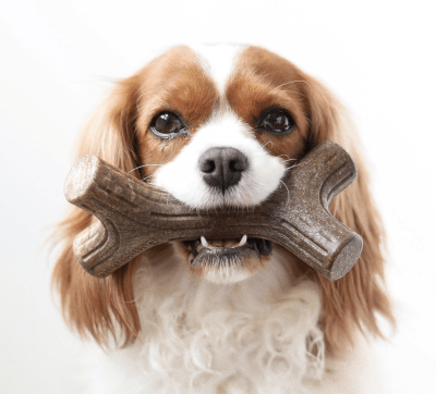Benebone Stick Bacon Juguete Masticable Benebone Stick Bacon Juguete Masticable