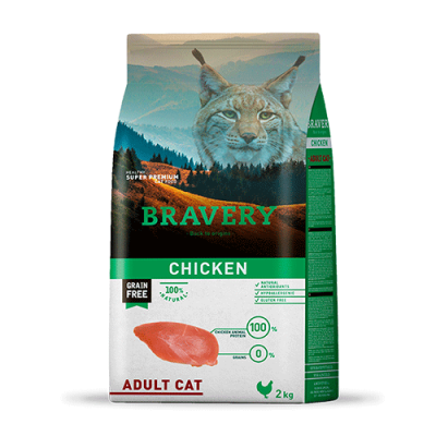 Bravery Adult Cat Chicken Bravery Adult Cat Chicken