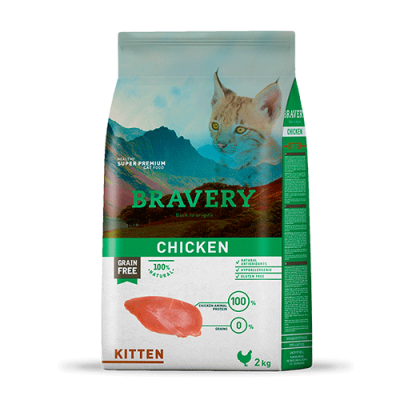 Bravery Kitten Chicken Bravery Kitten Chicken