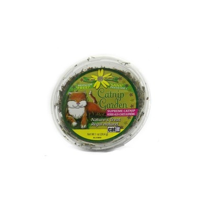 Hagen Cat It Catnip Hierba Hagen Cat It Catnip Hierba
