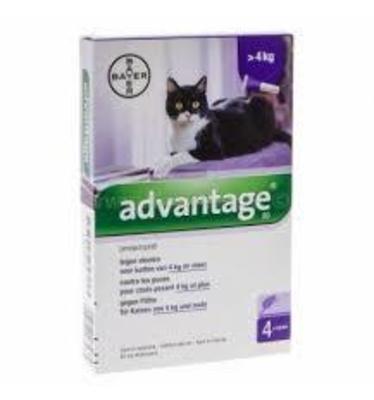 Advantage Antiparasitario para Gato Advantage Antiparasitario para Gato