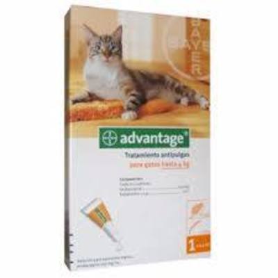 Advantage Antiparasitario para Gatos hasta 4 K Advantage Antiparasitario para Gatos hasta 4 K