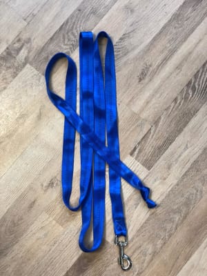 Dog Teacher Correa 3mts Dog Teacher Correa 3mts