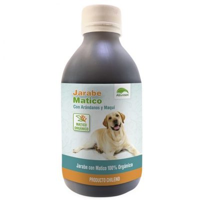 AllGreen Jarabe Matico Gastroprotector AllGreen Jarabe Matico Gastroprotector