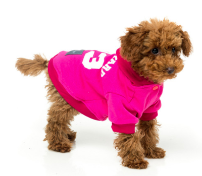 Fuzzyard Hoodie Fucsia The 03 Fuzzyard Hoodie Fucsia The 03