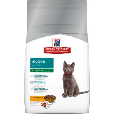Hills Kitten Indoor Gato Hills Kitten Indoor Gato