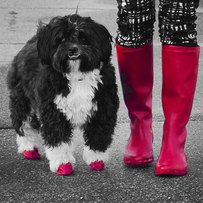 Pawz Zapatos Small Rojo Pawz Zapatos Small Rojo