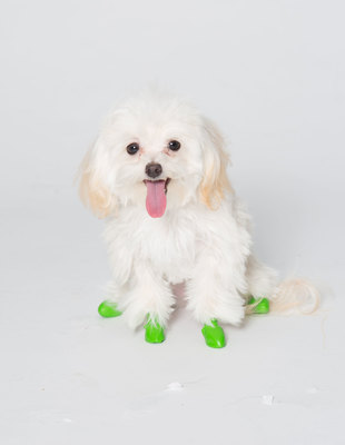 Pawz Zapatos Tiny Verde Manzana Pawz Zapatos Tiny Verde Manzana