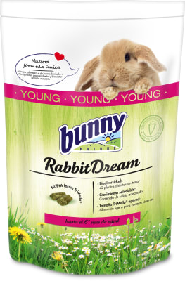 Bunny Rabbit Dream Young Bunny Rabbit Dream Young