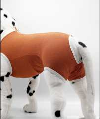 Kimba Body Cobre Castracion Macho Kimba Body Cobre Castracion Macho