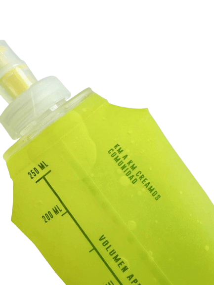 BOTELLA FLASK 250cc7
