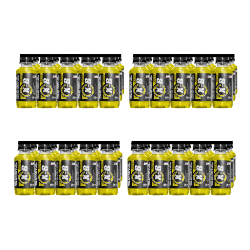 BOTELLA XB PIÑA5