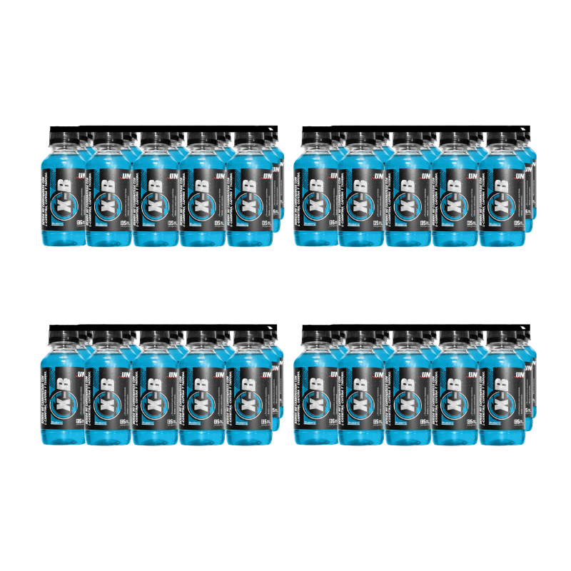 BOTELLA XB BLUEBERRY5
