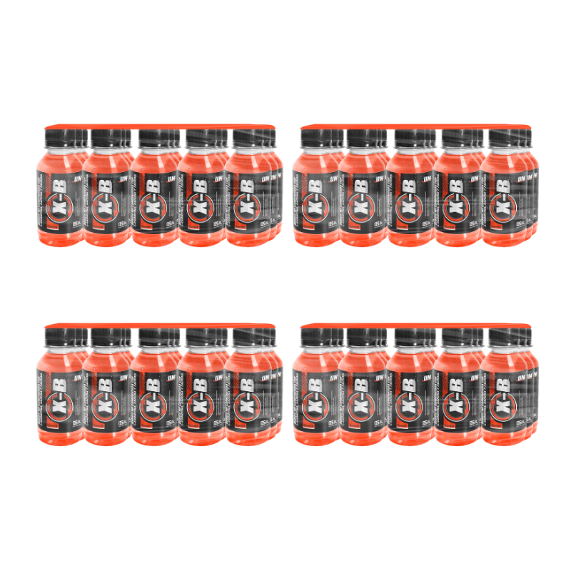BOTELLA XB GUARANA5