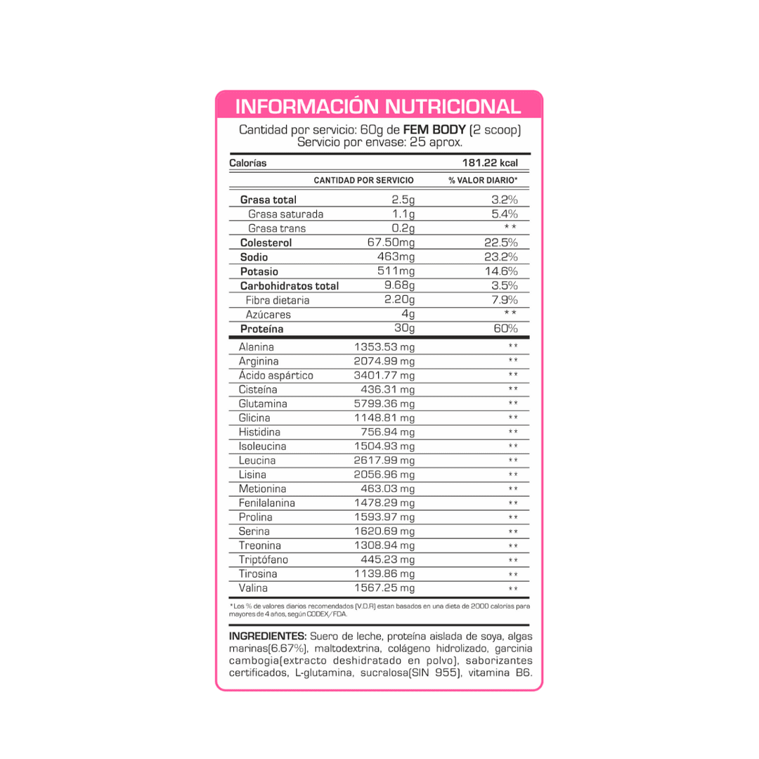 FEM BODY 1.500 KG3
