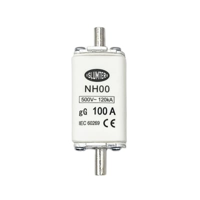 Fusible NH00 100A gG 500Vac 120kA1