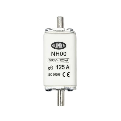 Fusible NH00 125A gG 500Vac 120kA1