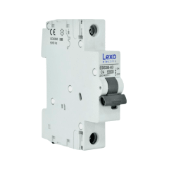 Int. Automatico Lexo 1x6A 10KA Curva C