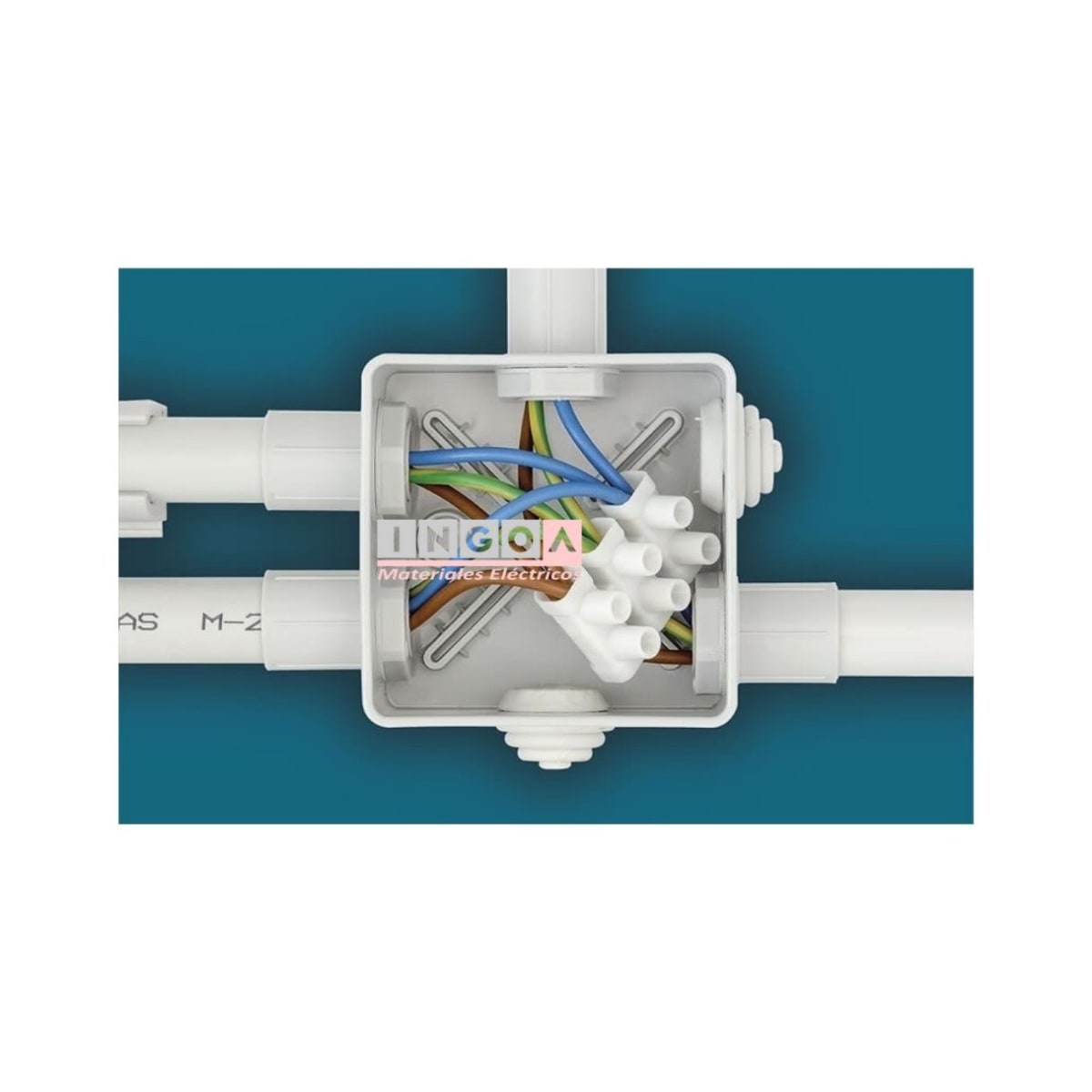 Regleta de Conexion Plastica Blanca 25mm 60A 12 Polos3