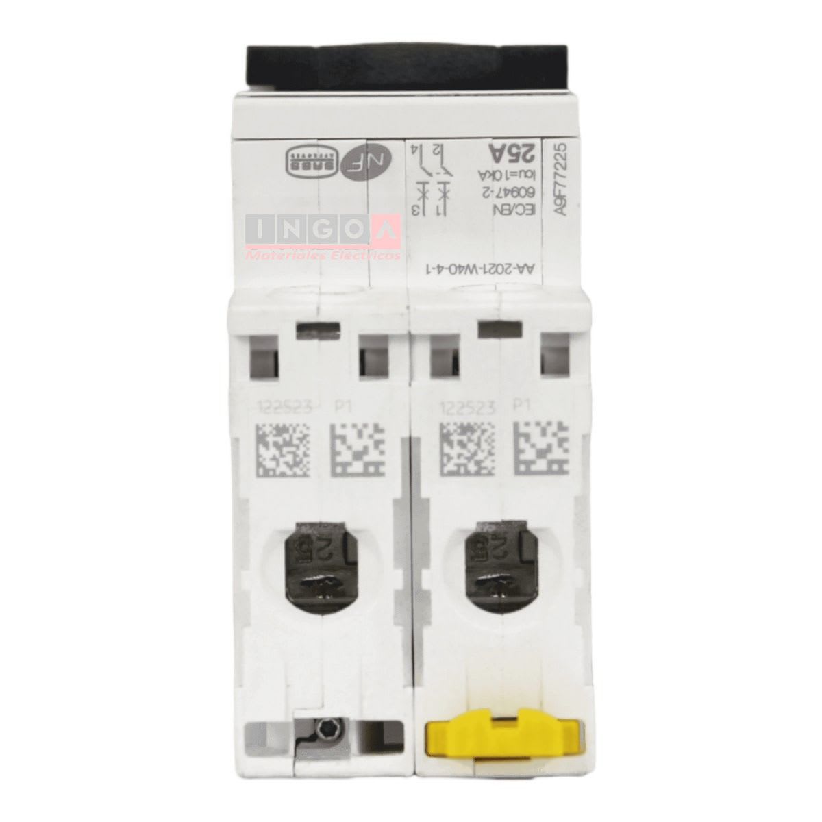 Int. Automatico Schneider IC60N - 2x25A 10KA C Acti9 A9F77225 - Vista 5