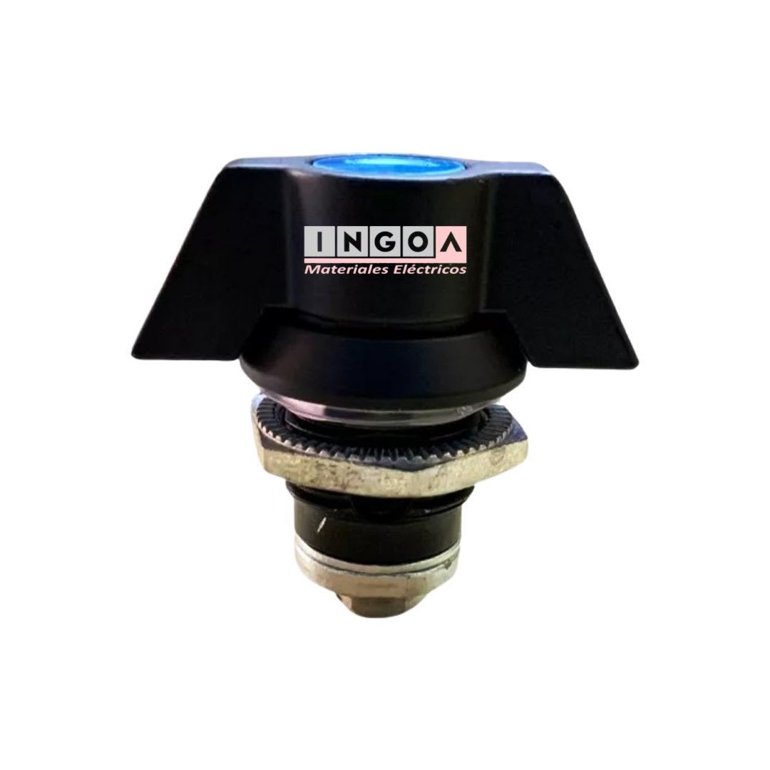 Chapa Metálica Con Manilla y Doble Llave8