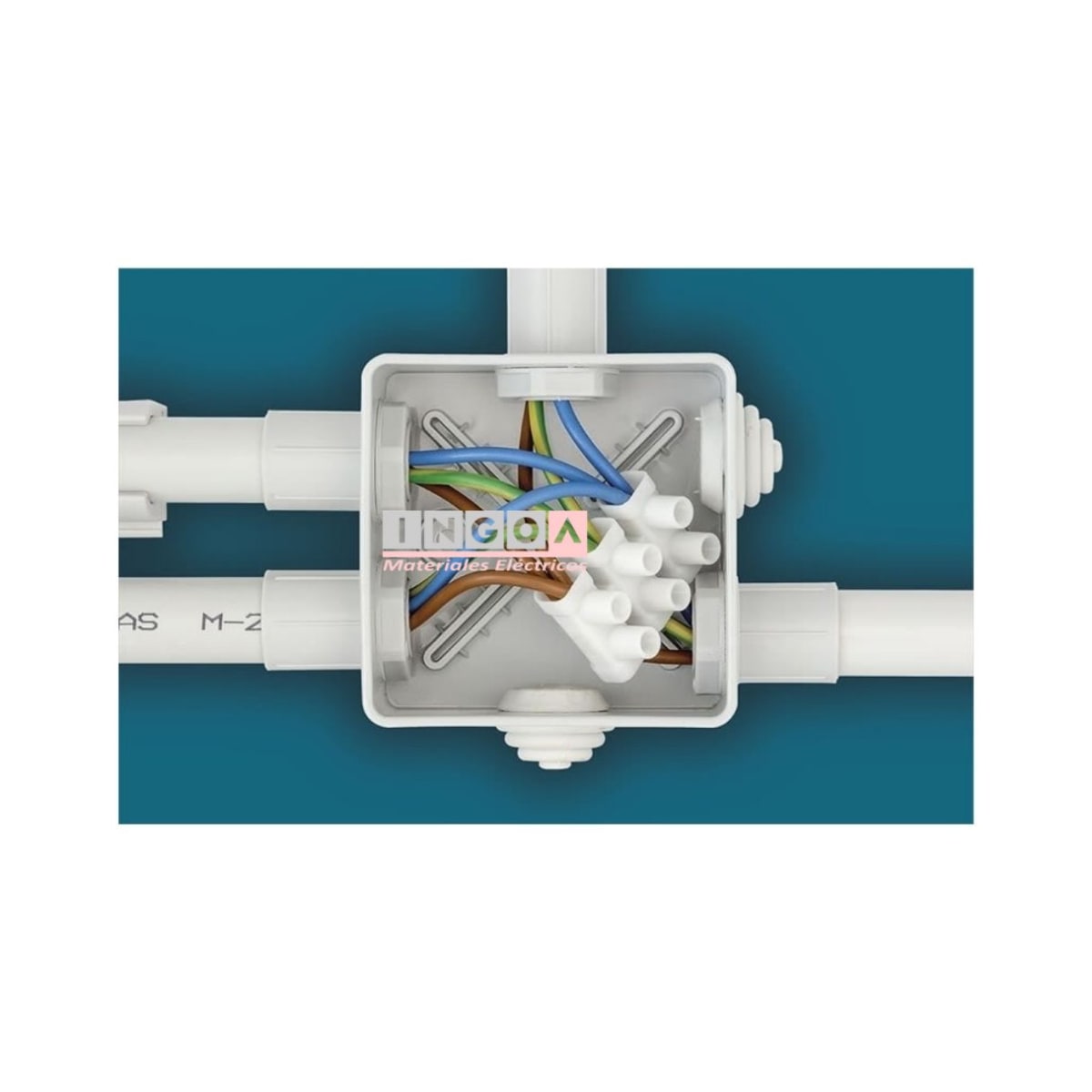 Regleta de Conexion Plastica Blanca 10mm 15A 12 Polos3