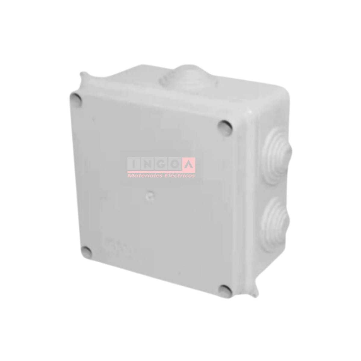 Caja Estanca 100X100X70MM IP65 C/Conos y Cierre C/Tornillos - Vista 2