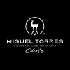 Miguel Torres