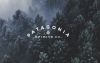 Patagonia Spirits Co.