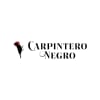 Carpintero Negro Carpintero Negro